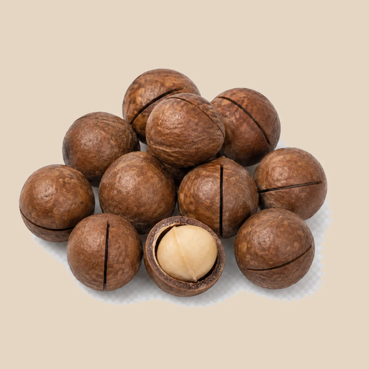 In-Shell Macadamia