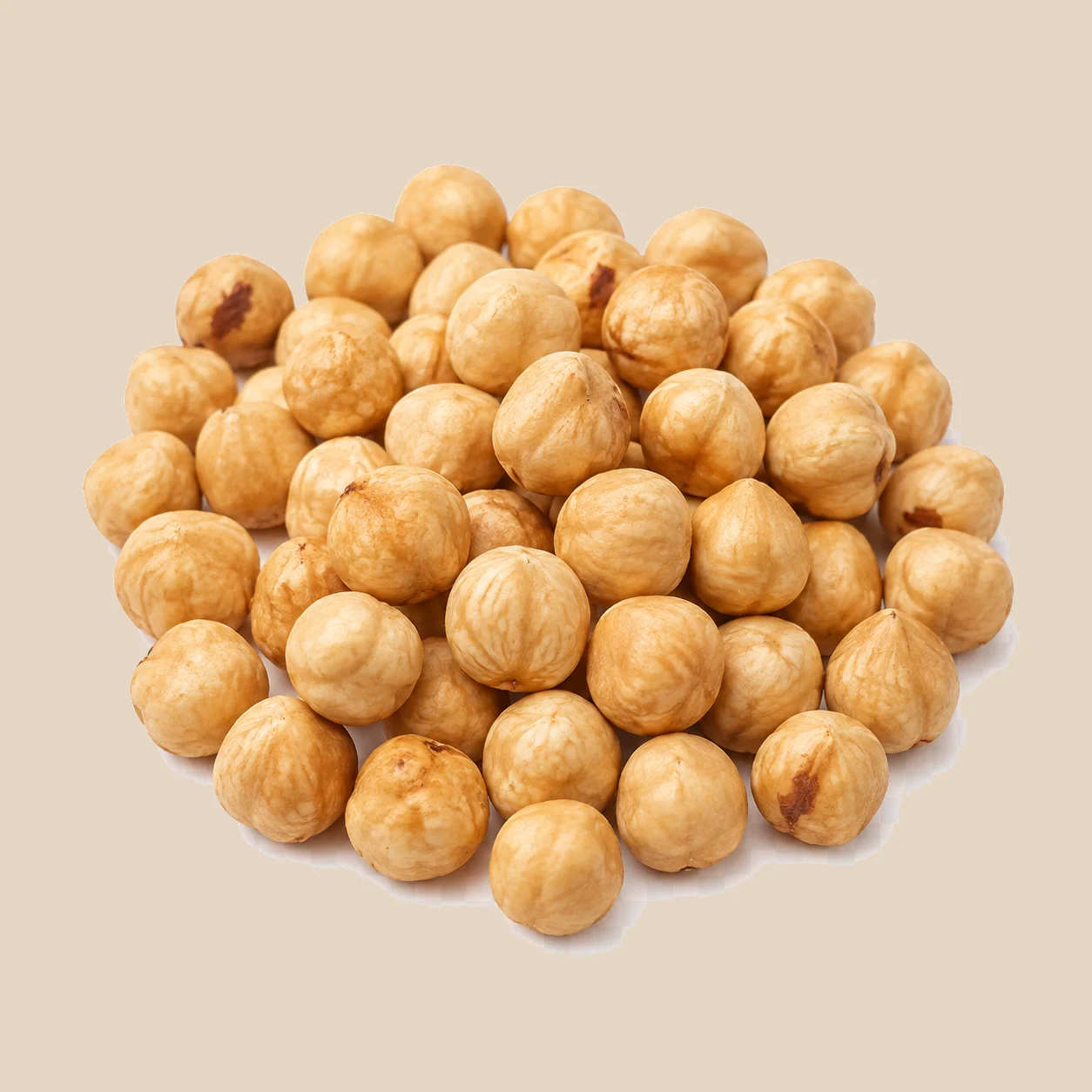 Peeled Hazelnuts 15/17